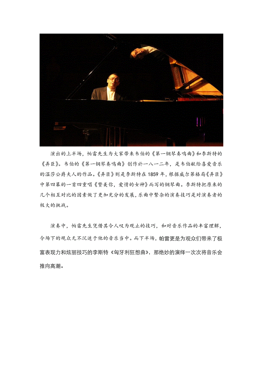 2013博兰斯勒钢琴家亚历山大_第2页
