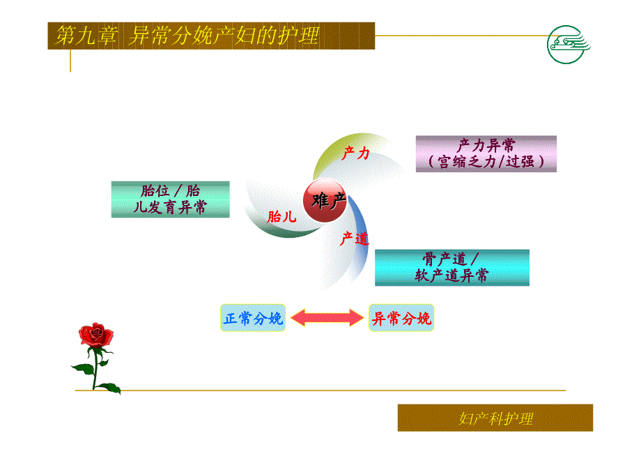 异常分娩产妇护理_第2页