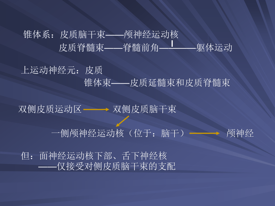 脑神经病变定位诊断_第2页