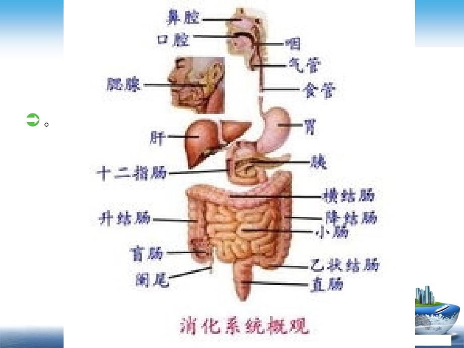 胃肠镜检查前后护理_第2页