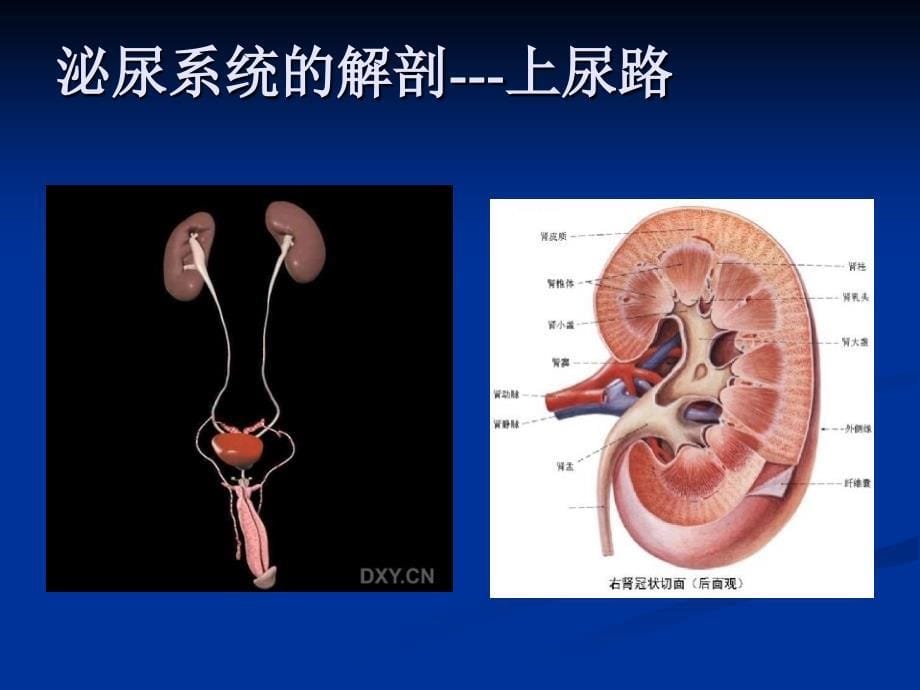 微创技术在泌尿外科应用(电切镜)_第5页