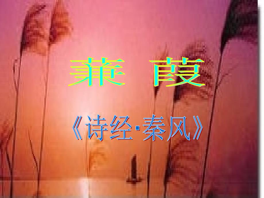 《诗经_蒹葭_》课件_第1页