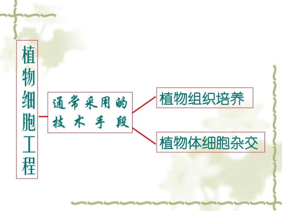 植物细胞工程的现实应用课件(很好用)_第2页