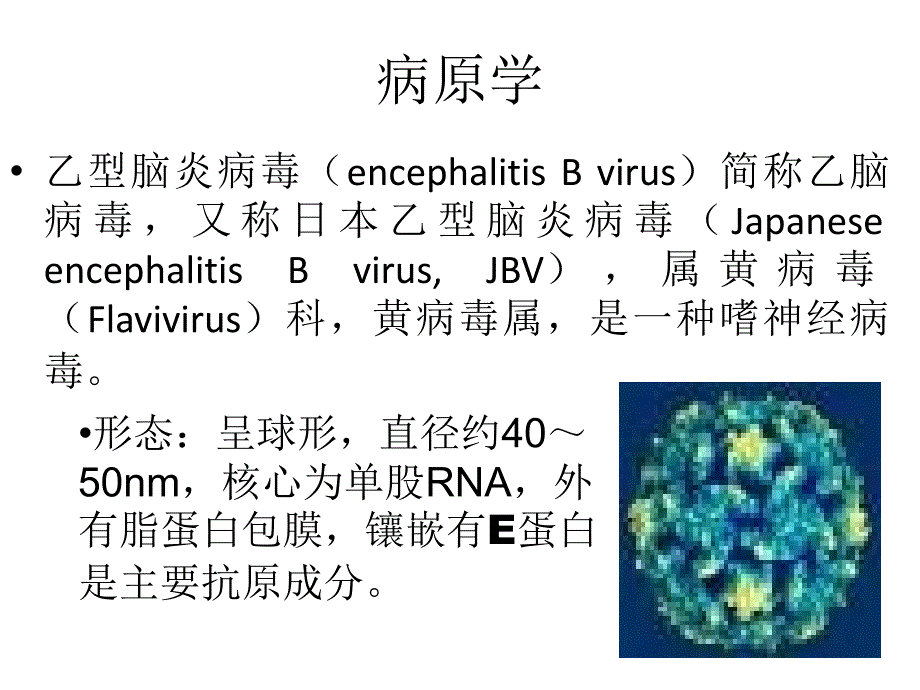 流行性乙型脑炎87044_第3页