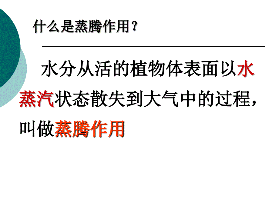 绿色植物参与生物圈的水循环(参评课件)_第4页