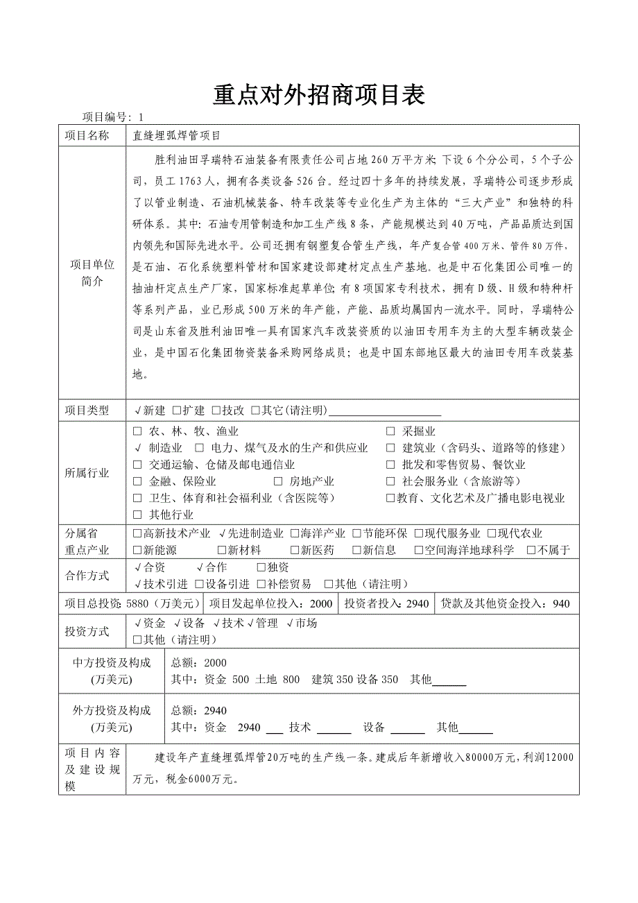 格式一重点招商项目格式_第1页