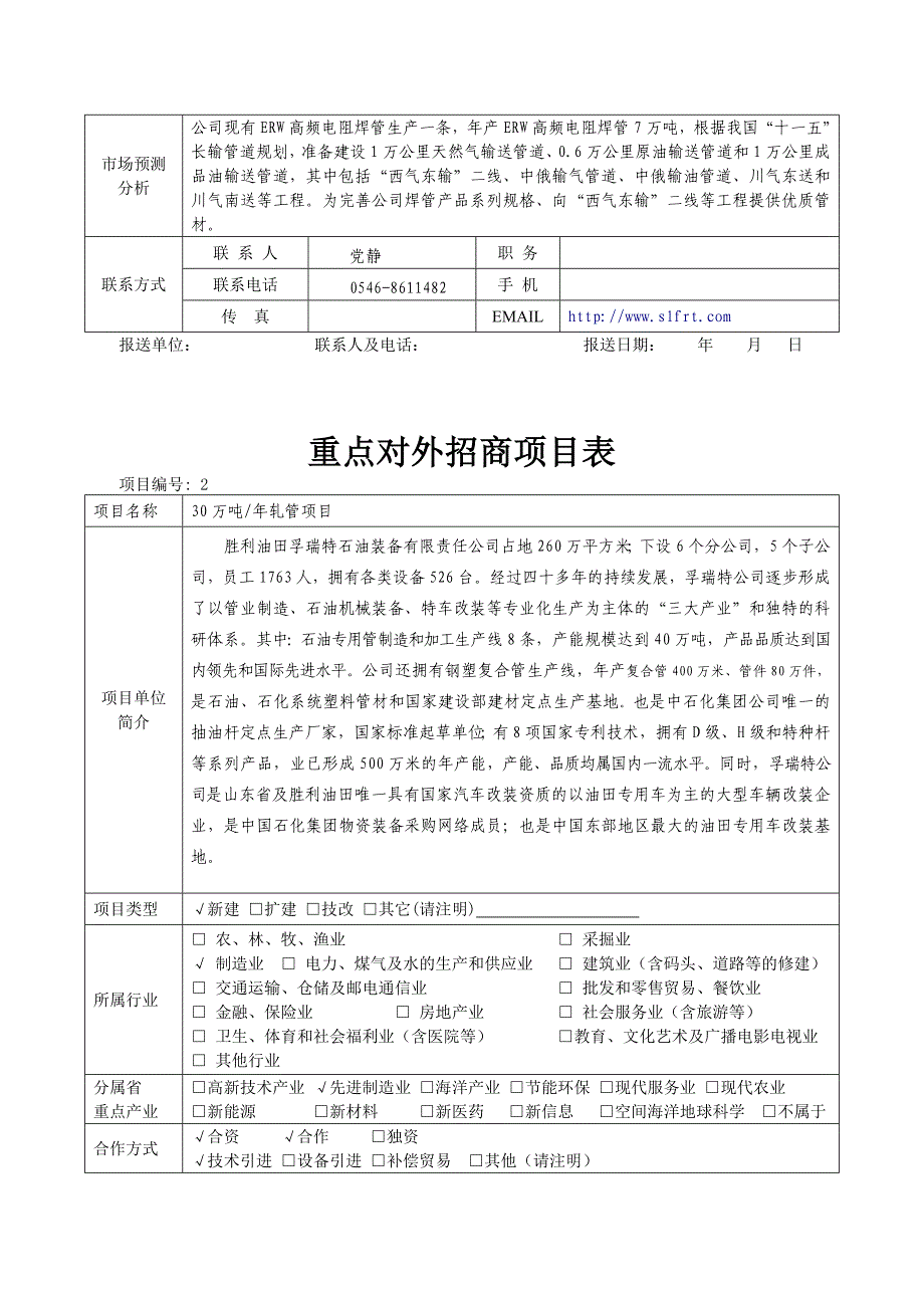 格式一重点招商项目格式_第2页