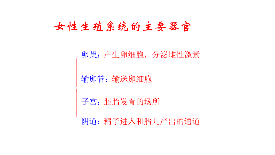 人教版七年级生物下册知识点总结_第4页