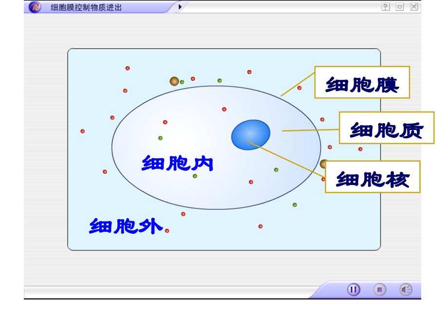 它们含有na些物质_第3页