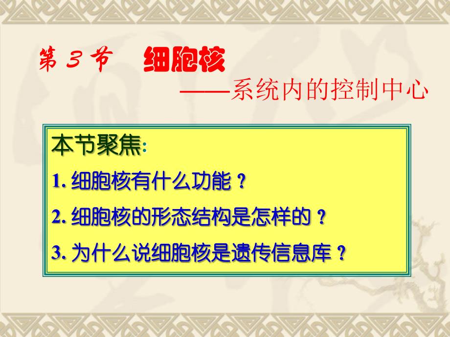 细胞核公开课课件(优质课)_第3页