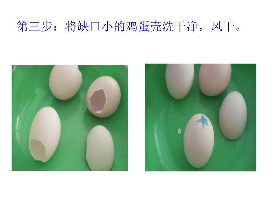 小学生科技小制作：鸡蛋壳上绘画_第4页