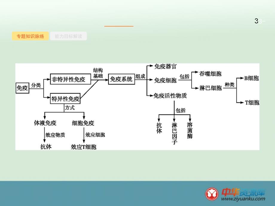 2015年高三生物二轮复习课件：专题能力训练卷12_第3页