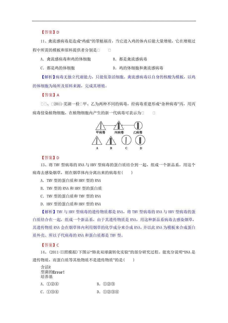 2015届高三生物一轮复习学案：第3章 基因的本质（单元复习）（人教版必修2）_第5页