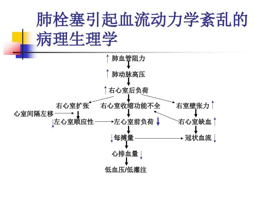 2015肺栓塞指南_第5页