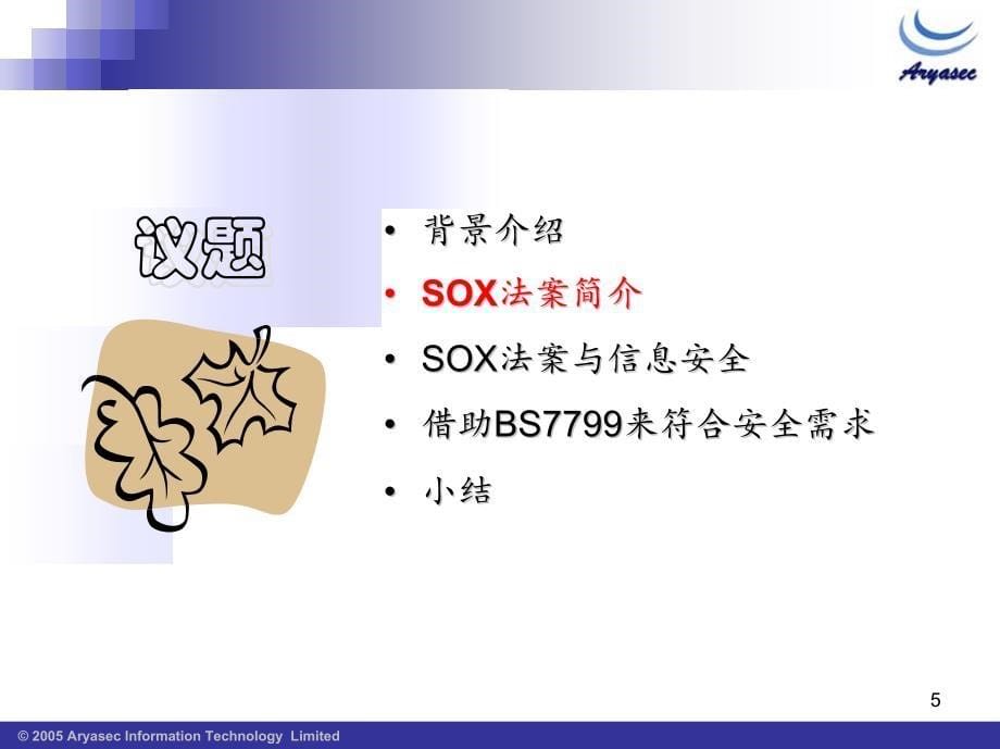 sox法案与信息安全初探_第5页