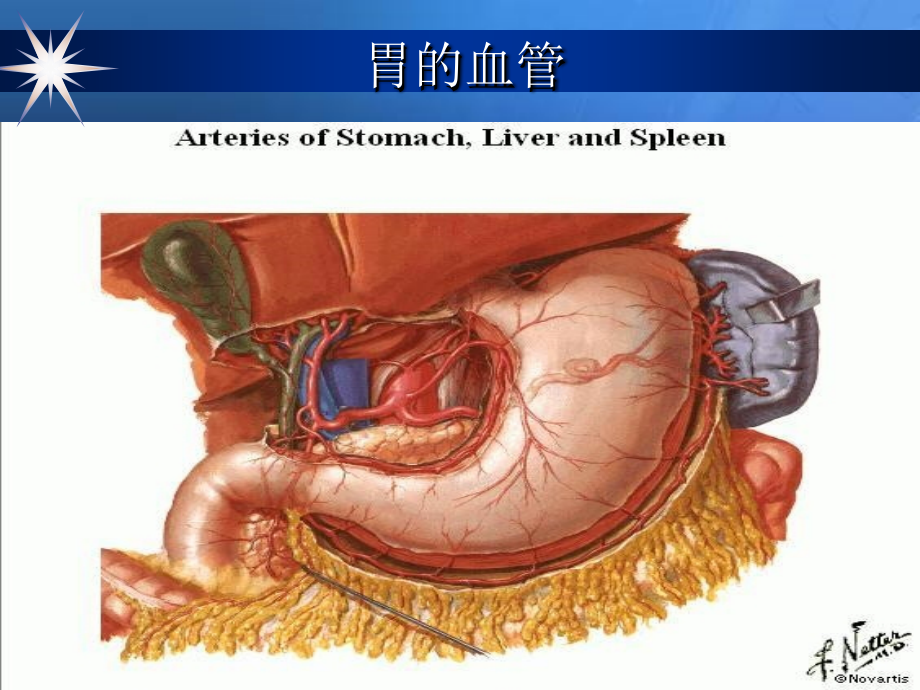 胃十二指肠疾病PP课件_第4页