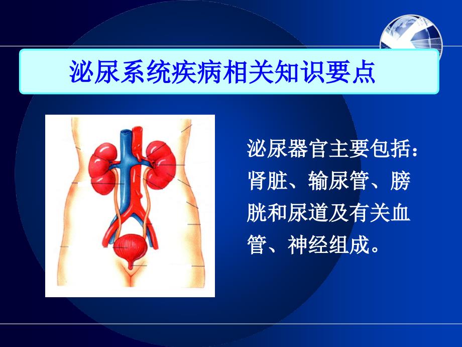 泌尿系统疾病病人护理 PPT课件_第2页