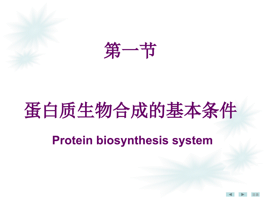 分子生物学--蛋白质生物合成_第4页