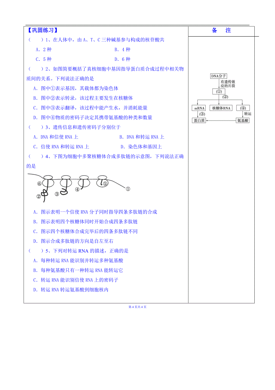 江苏省盐城市时杨中学2015届生物一轮复习（必修二）导学案：基因控制蛋白质的合成_第4页