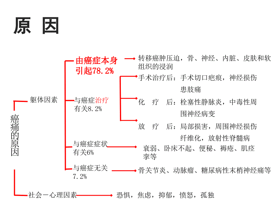 患者教育(二)癌痛治疗常见误区及药物不良反应处理_第3页