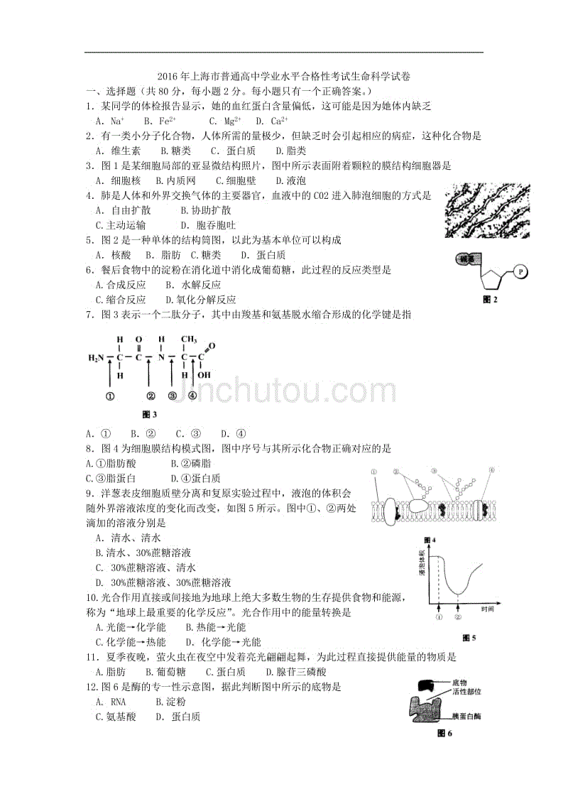 上海市普通高中2016年学业水平考试生物试题 word版无答案