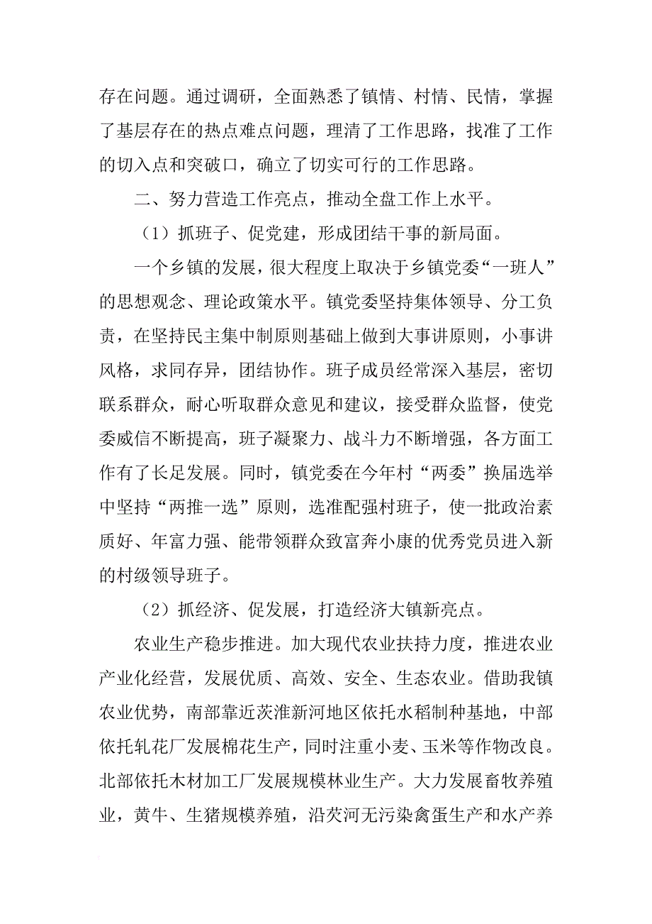 镇党委书记年工作总结_第2页