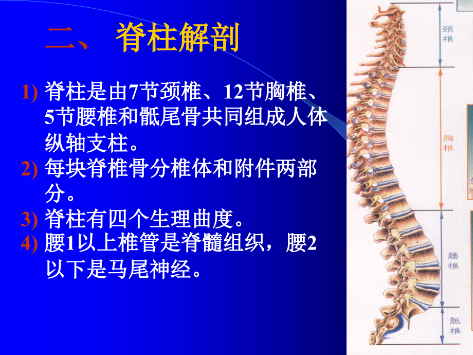 脊柱骨折与脊髓损伤本科_第4页