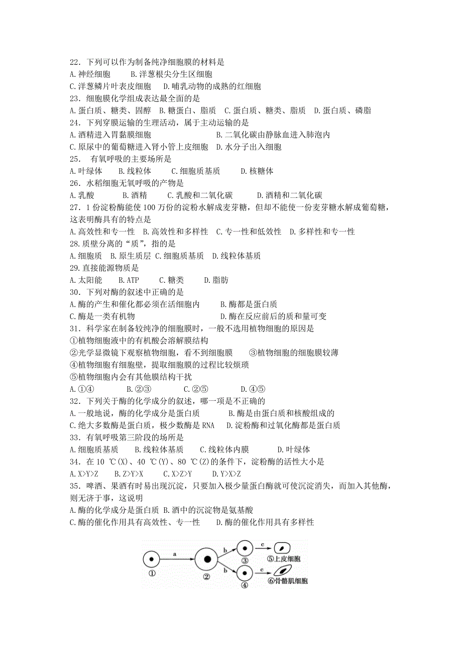 新疆2016-2017学年高一下学期周测（2.14）生物试题word版含答案_第3页