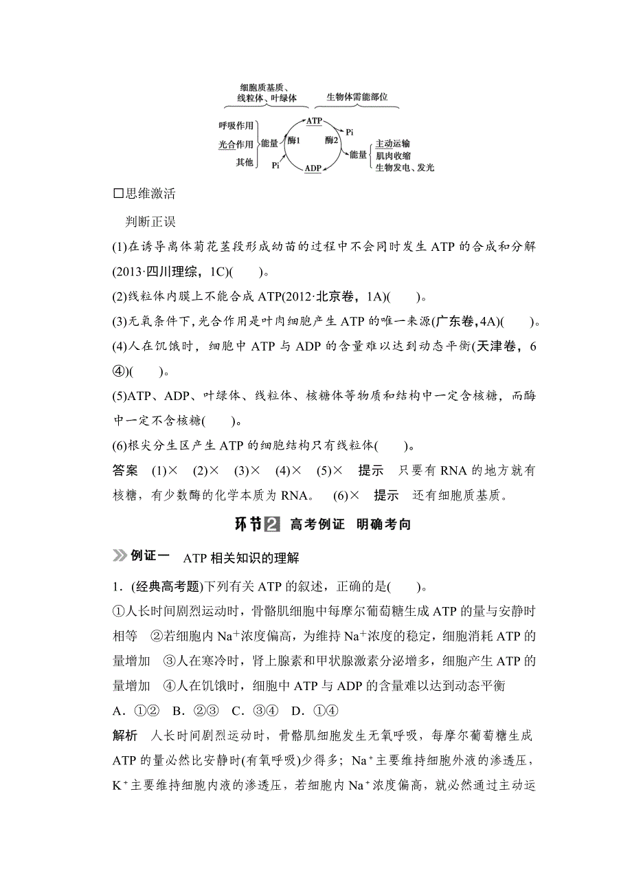 【创新设计】2015高考生物（人教版，山东专用）总复习教学案：必修1第3单元细胞的能量供应和利用第2讲细胞的能量通货——atp_第2页