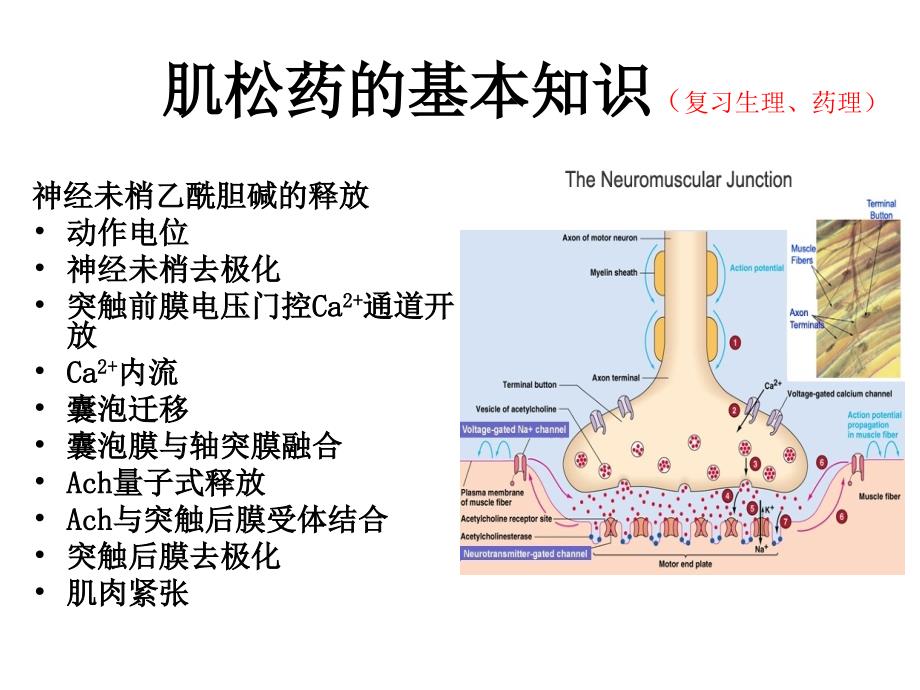 苯磺酸顺阿曲库铵icu应用_第3页