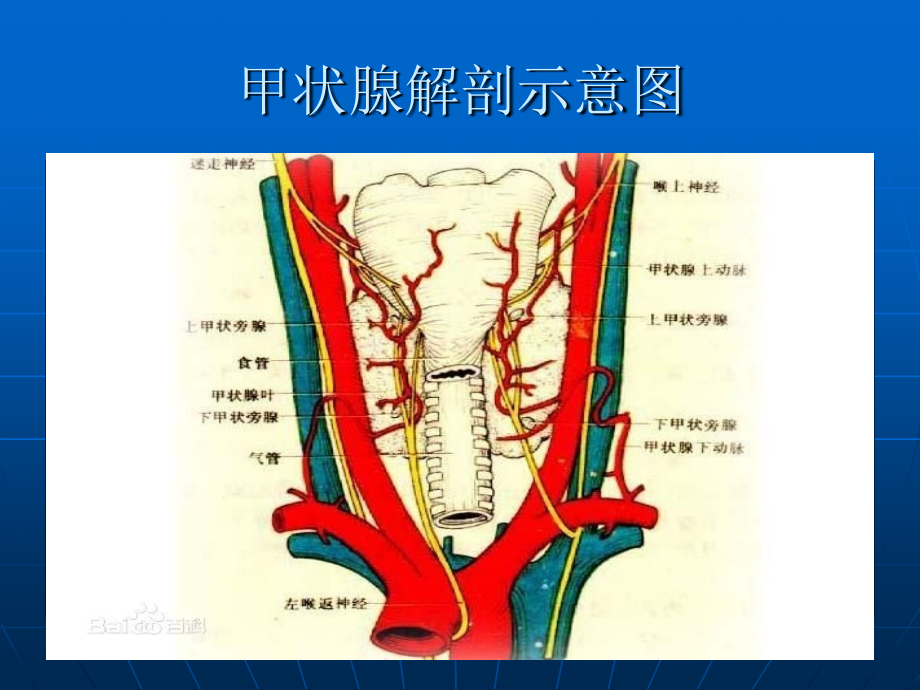 浅谈常见甲状腺疾病的超声诊断--文_第4页