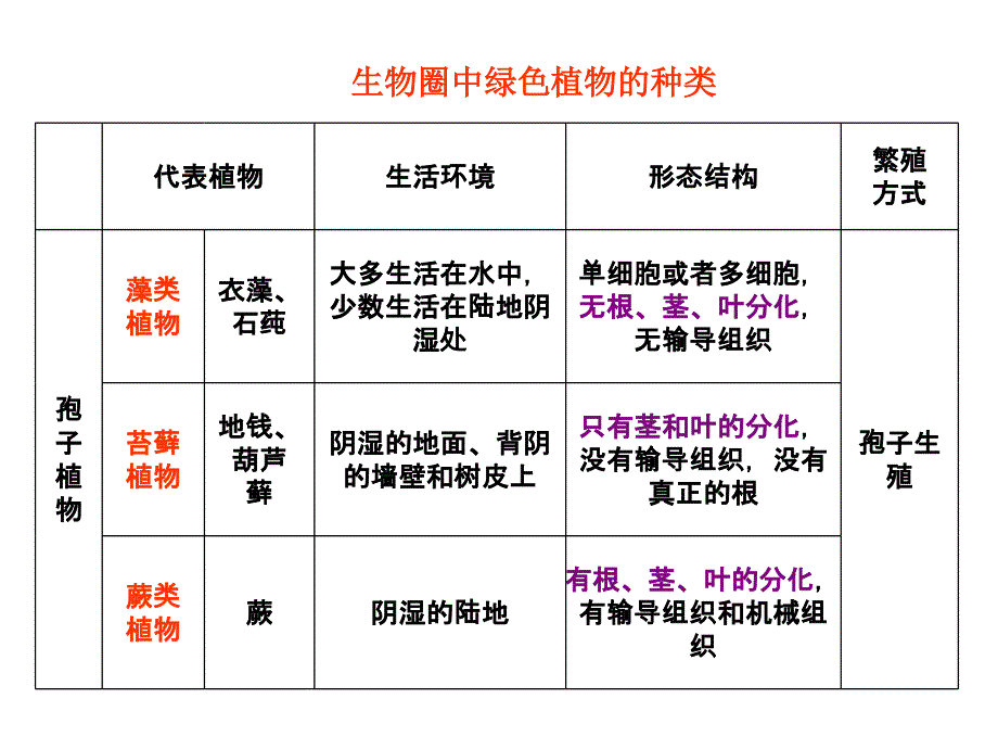 2018人教版生物中考总复习考点梳理题三 生物圈中的绿色植物_第2页