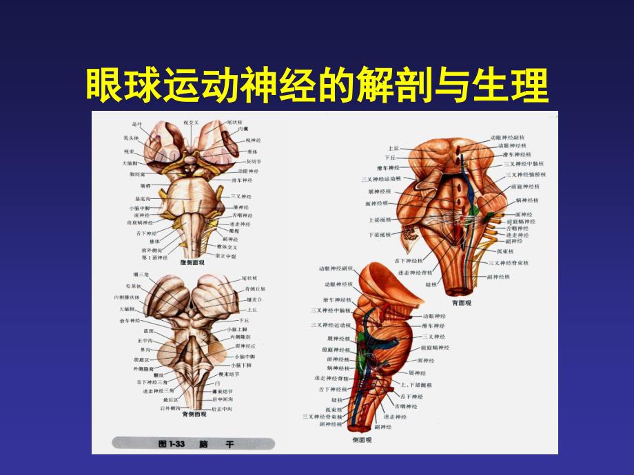 眼外肌麻痹诊断思路_第4页