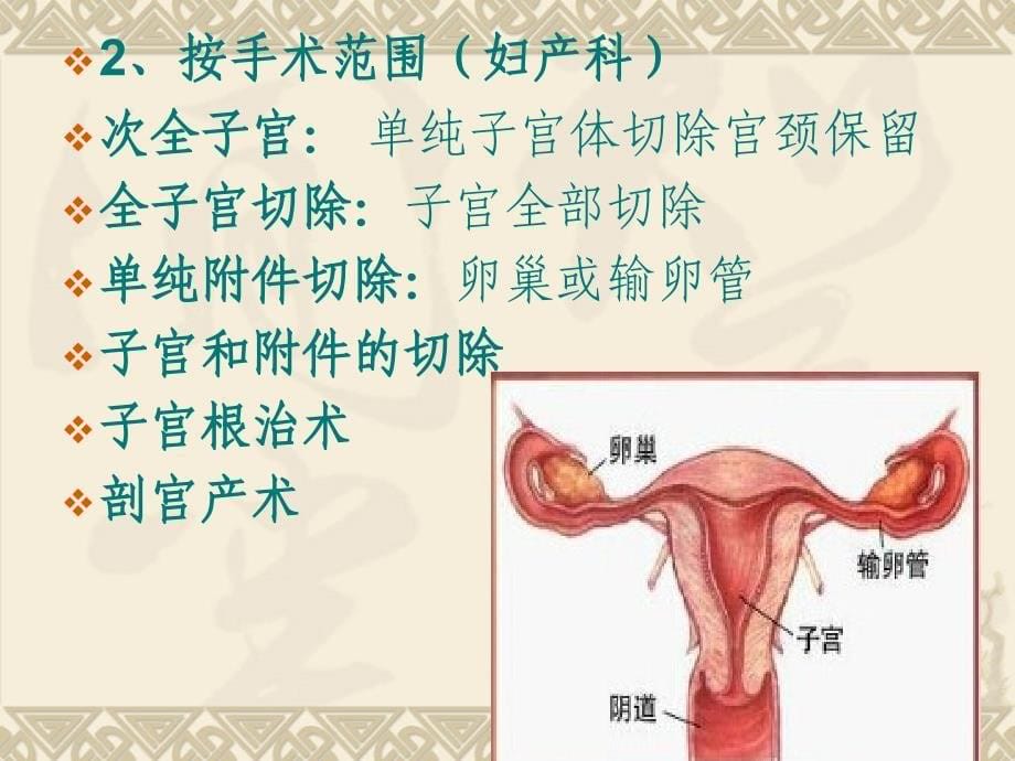 妇科杨华君腹部手术护理及宣(教授课用)_第5页