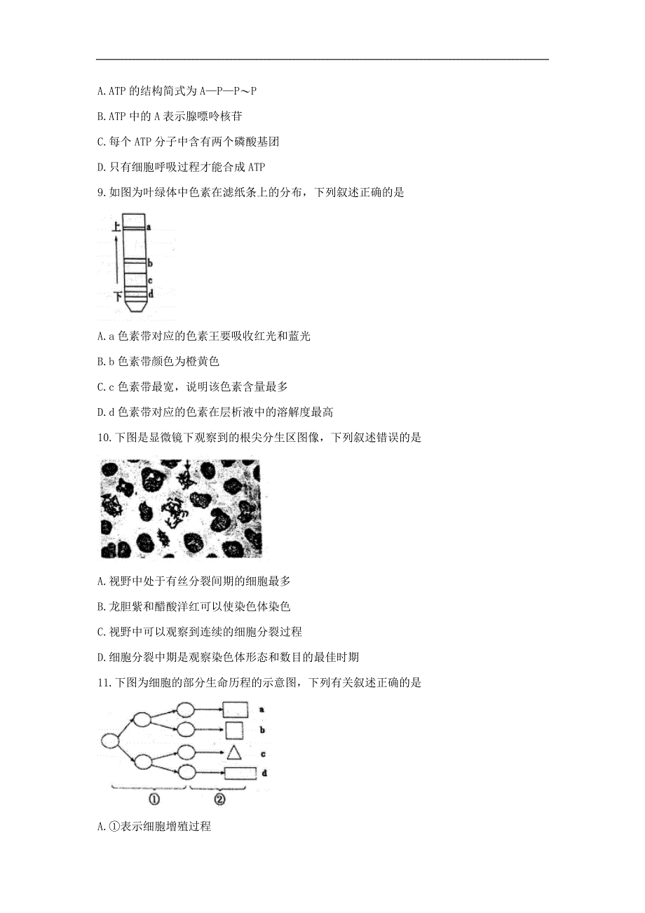 江苏省徐州市2017年高中学业水平测试（必修科目）抽测模拟考试生物试题 word版含答案_第2页