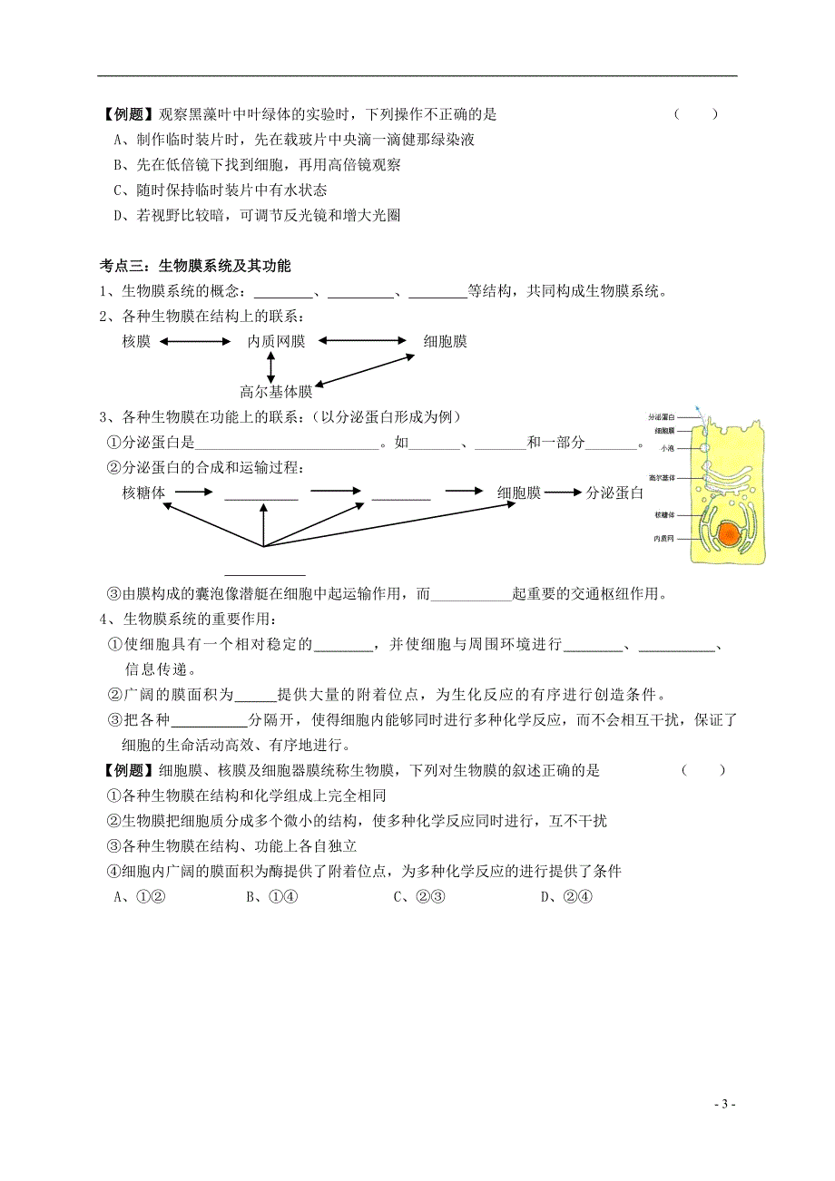 姜堰张甸中学高三生物一轮复习 细胞器教学案（无答案） 新人教版_第3页