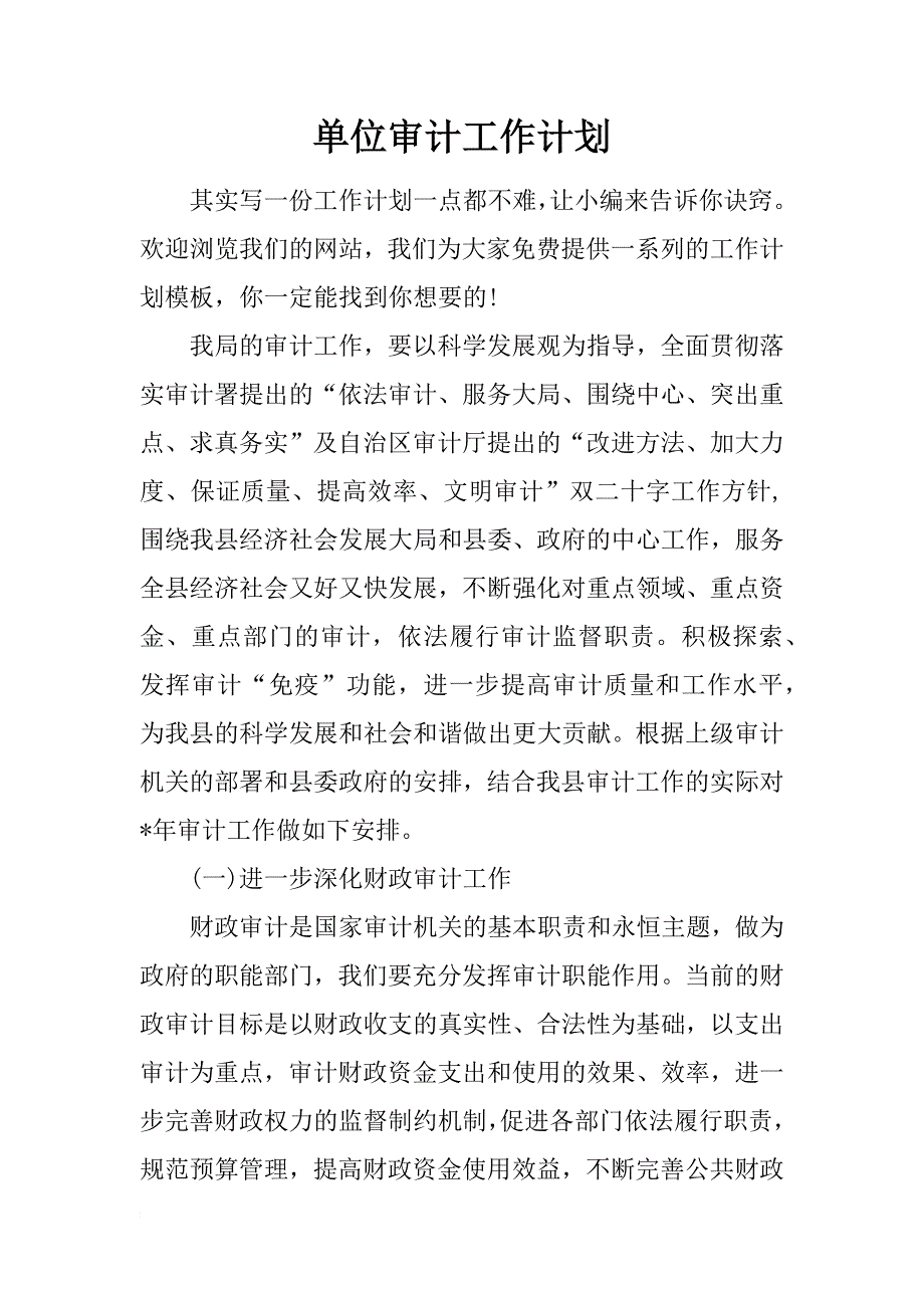 单位审计工作计划_第1页