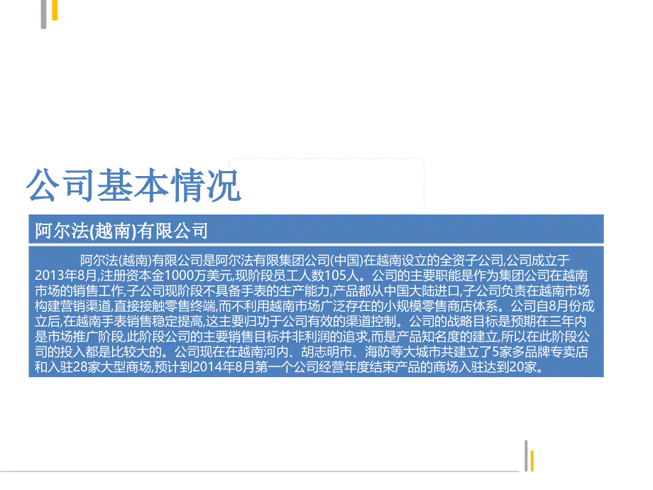 阿尔法手表国际商务策划ppt_第3页