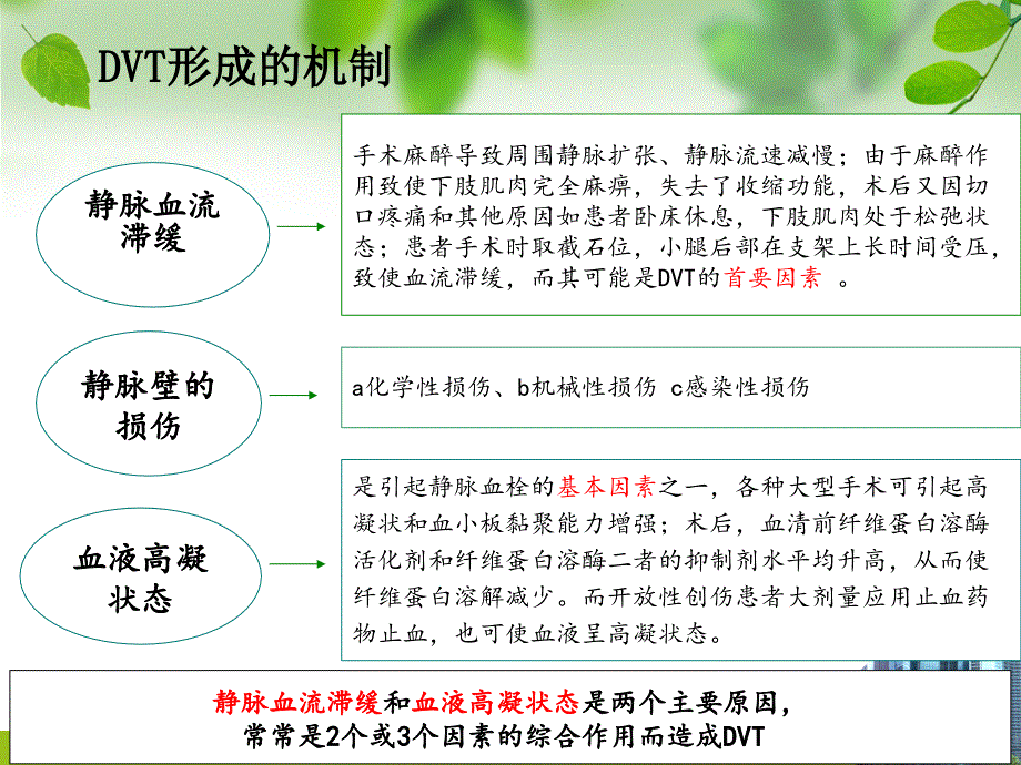 深静脉血栓的预防与护理 汪_第4页