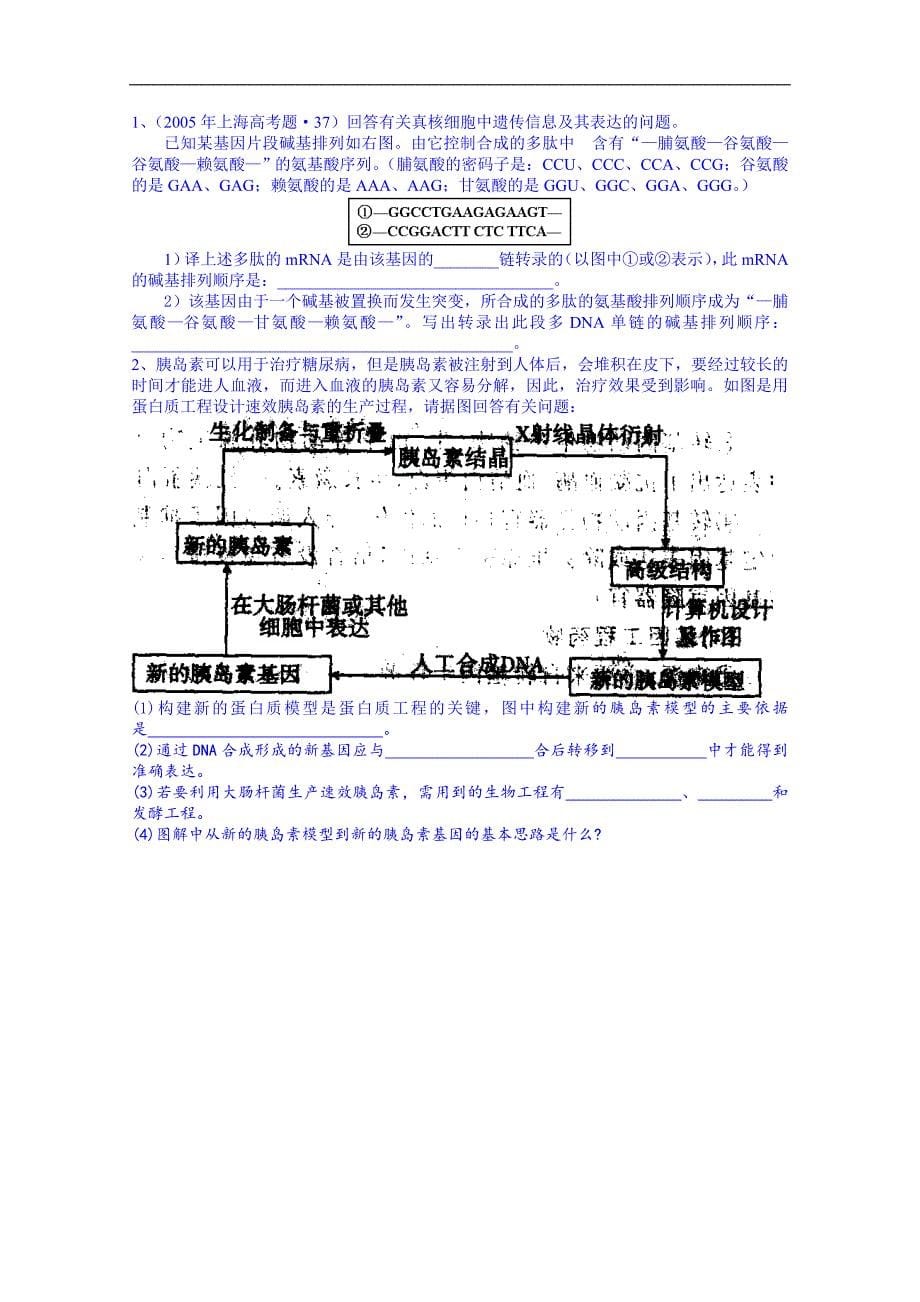广东省佛山市顺德区（人教版）高中生物学案 必修三 14蛋白质工程的崛起_第5页