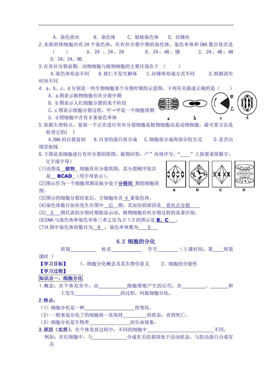 广东省化州市实验中学高中生物学案 必修一第六章第一节细胞的增殖答案_第5页
