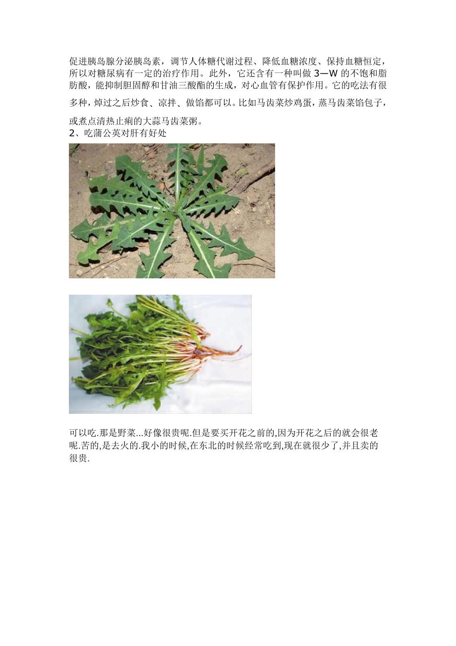 各种野菜吃法_第2页