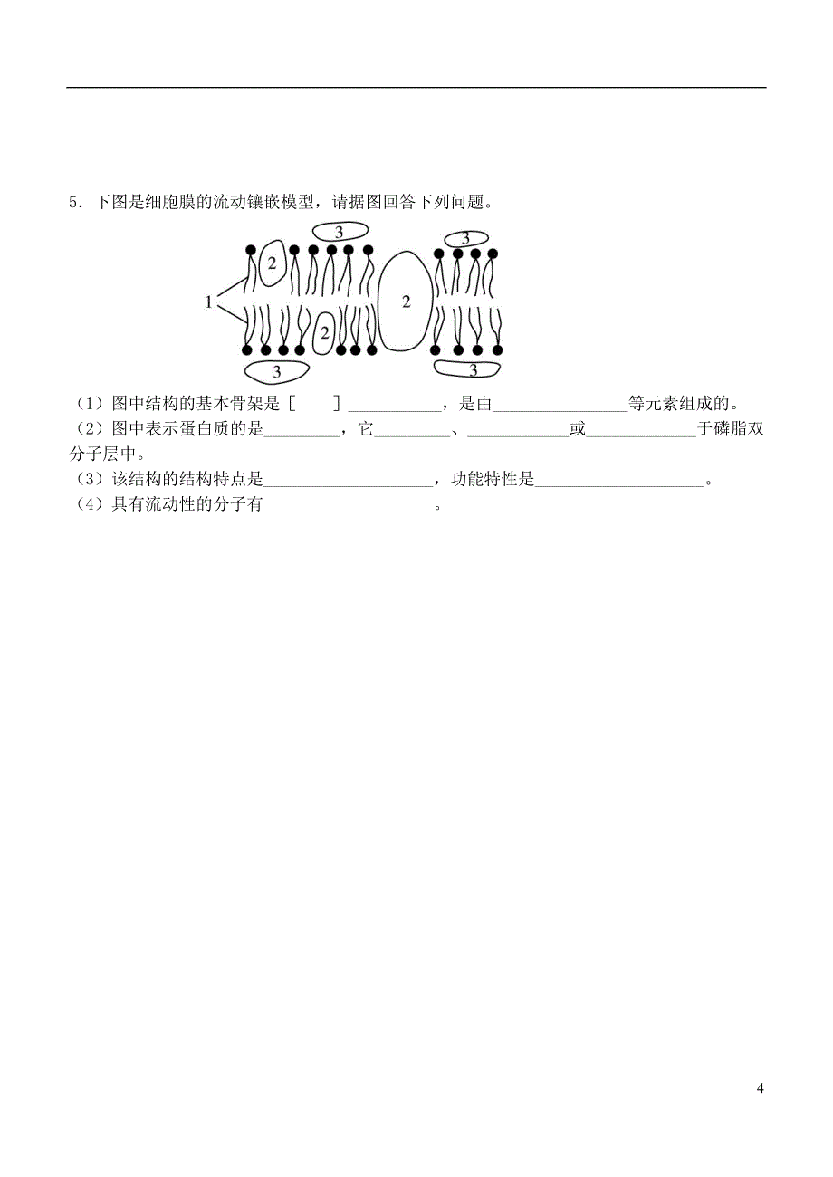 2016-2017广东省东莞市大朗中学高中生物 4.2《生物膜的流动镶嵌模型》导学案（无答案）新人教版必修1_第4页