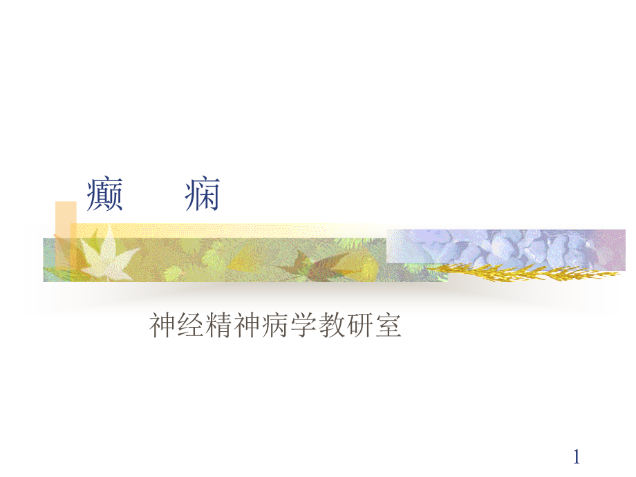 癫痫医师考试需要的复习课件ppt_第1页