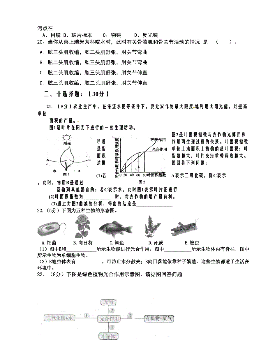 [中学联盟]山东省单县希望初级中学2015届九年级上学期第一次月考生物试题（无答案）_第3页