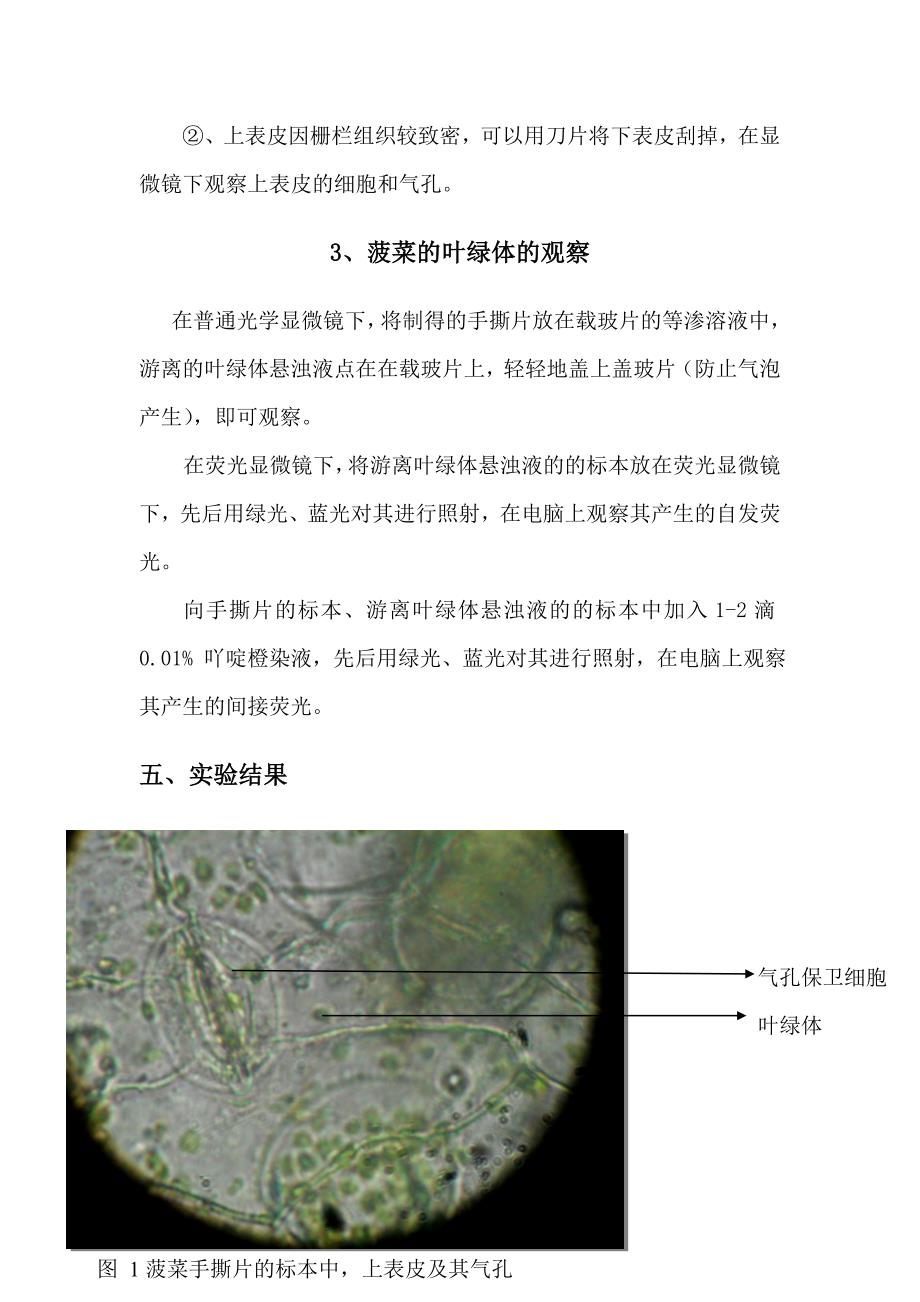 实验1-叶绿体的分离与荧光分析_第3页