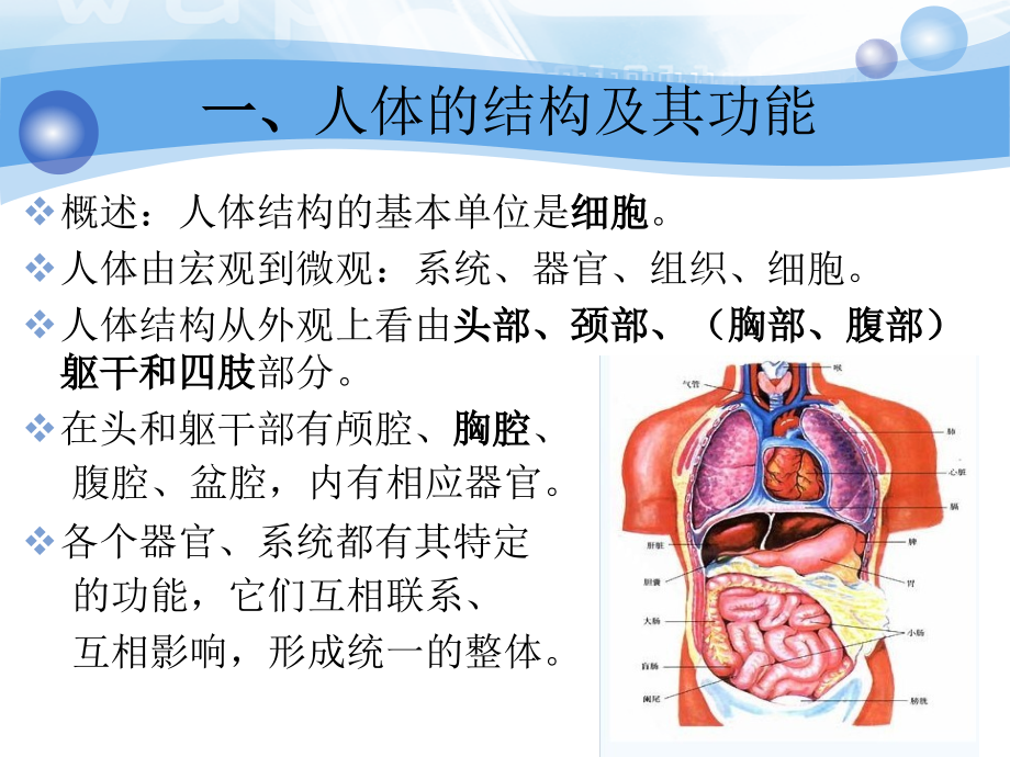 养老护理培训老年人生理、心理特点_第3页