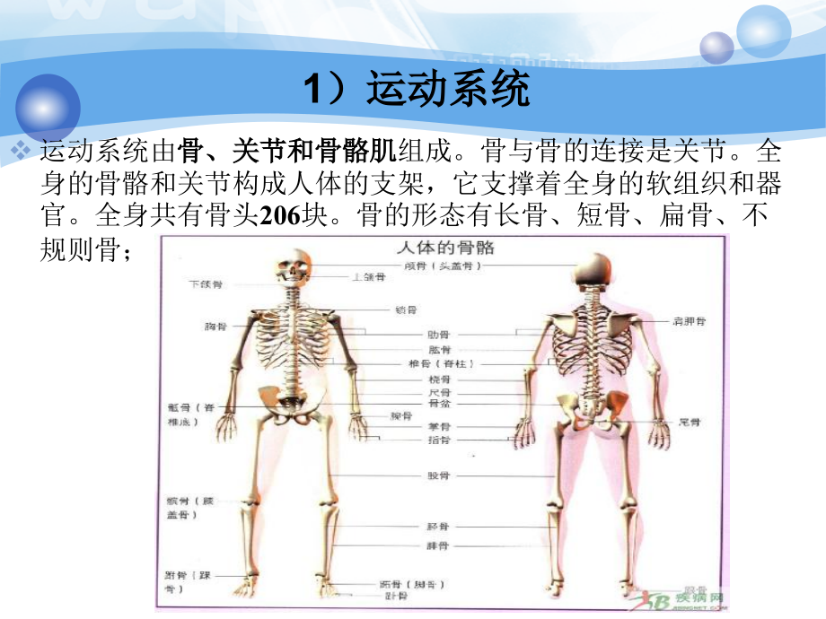 养老护理培训老年人生理、心理特点_第4页