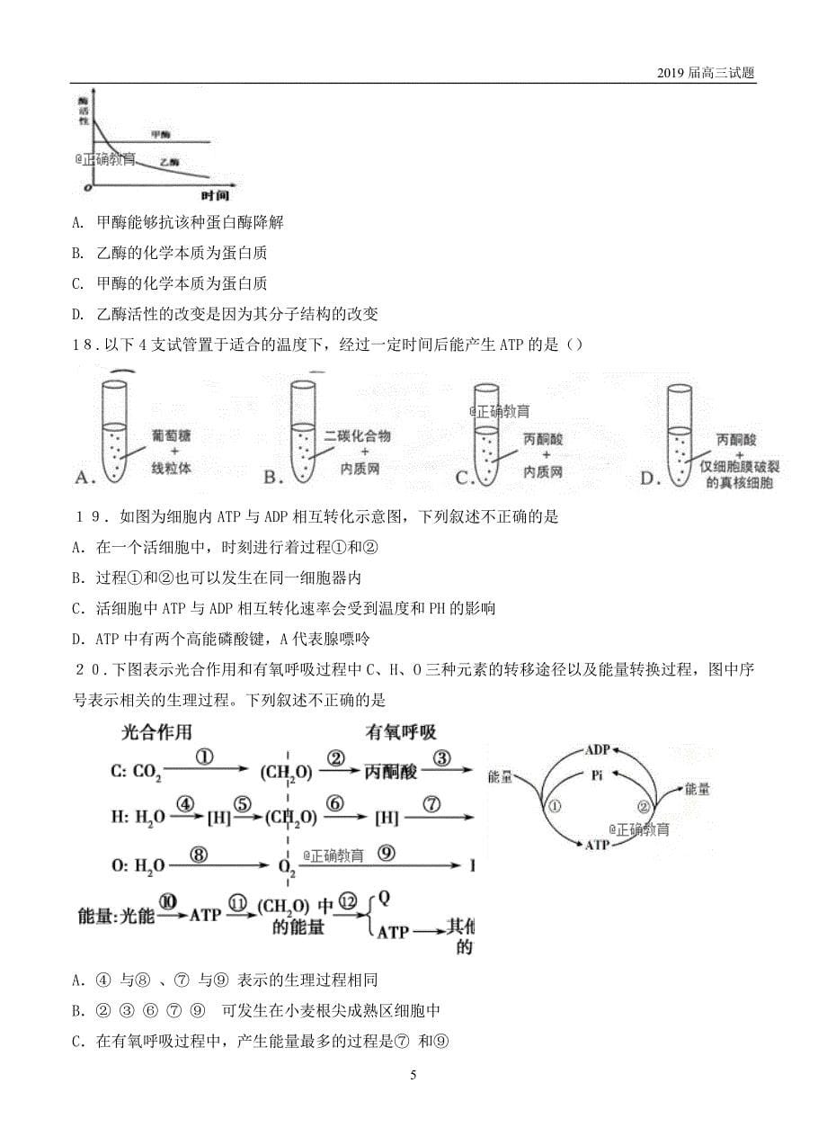 陕西渭南中学2019届高三上学期第三次质量检测生物试题含答案_第5页