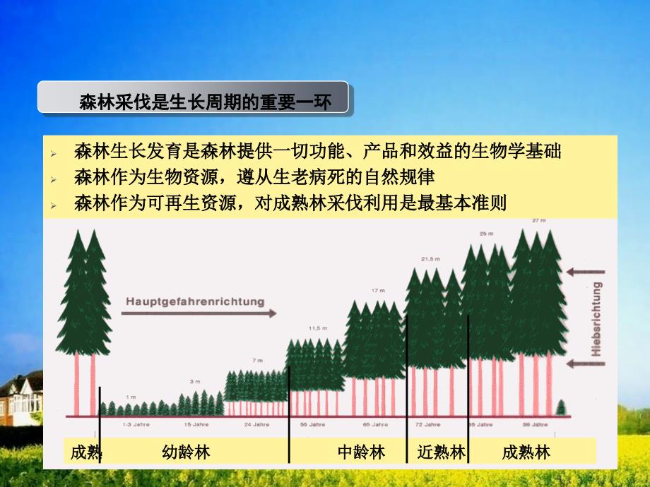 林 木 采 伐 管 理 讲 座_第3页